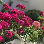 Sunny Bay 아파트 Sarandë
