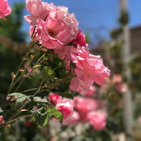 Sunny Bay * Sarandë