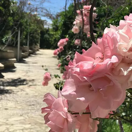 Sunny Bay Διαμέρισμα Σαράντα