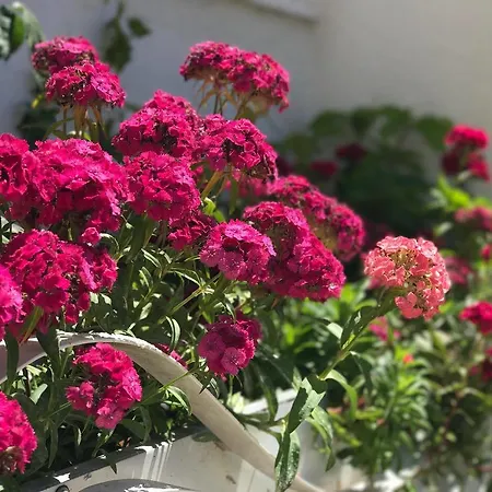 Sunny Bay Apartment Sarande
